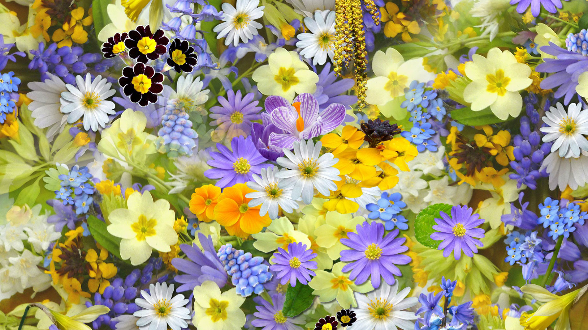 Floral Roundabout